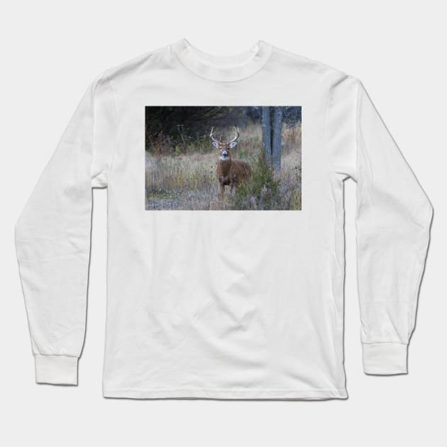 White-tailed buck Long Sleeve T-Shirt by Jim Cumming